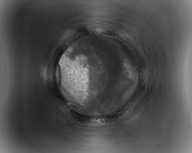 X0000088080760200705251408