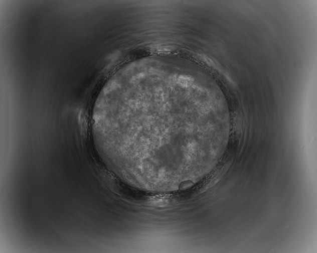 X0000088080761200705251408