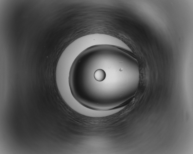 X0000088080762200705251408