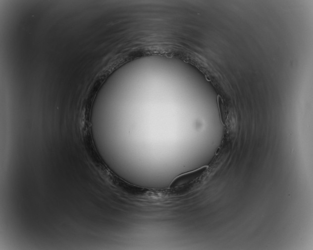 X0000088080764200705251408