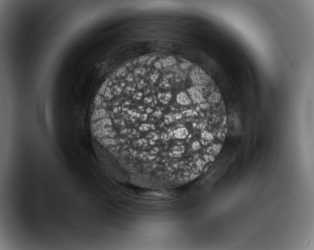X0000088080765200705251408