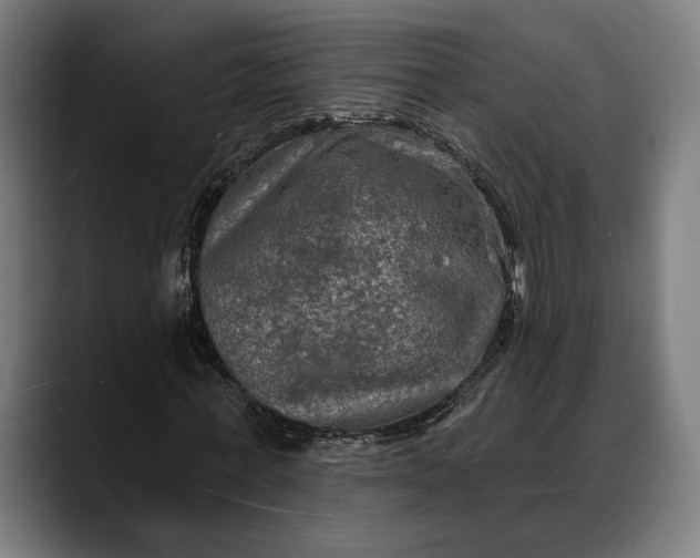 X0000088080771200705251407
