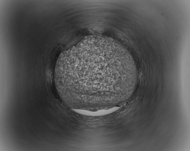 X0000088080772200705251407