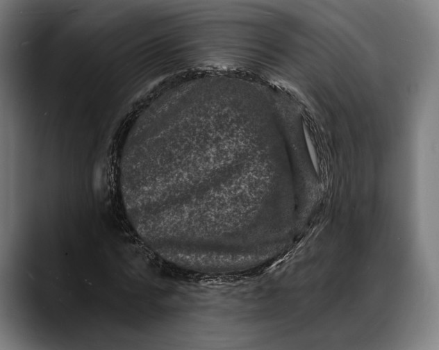 X0000088080776200705251407