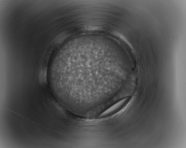 X0000088080777200705251407