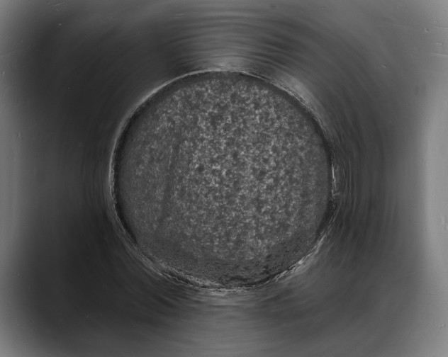 X0000088080780200705251407