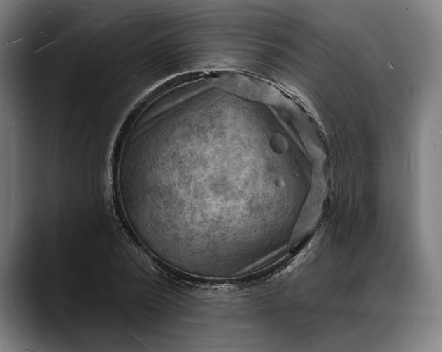 X0000088080784200705251407