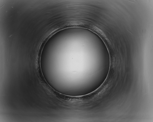 X0000088080786200705251407