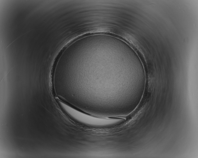 X0000088080789200705251407