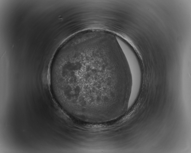 X0000088080791200705251407
