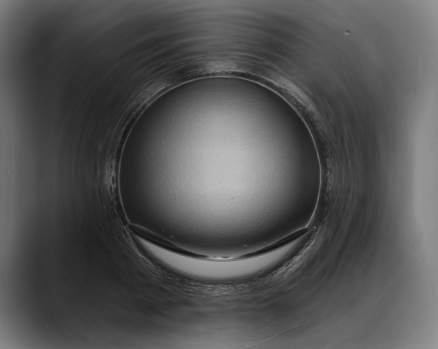 X0000088080793200705251407