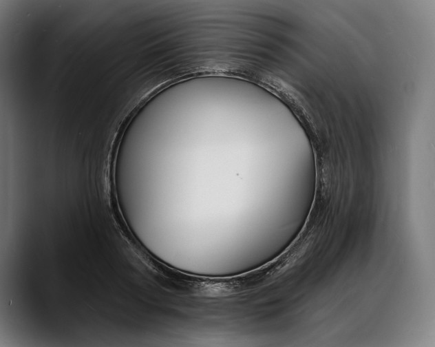 X0000088080794200705251407
