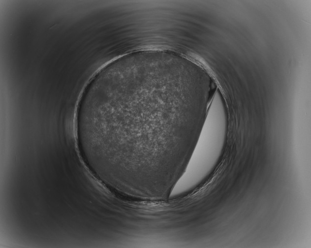 X0000088080795200705251407
