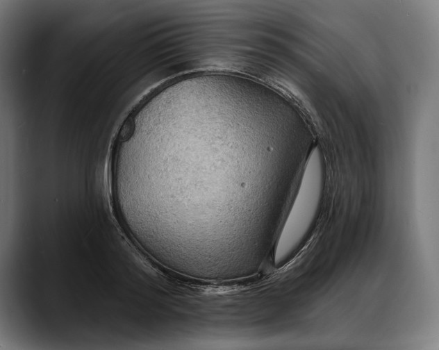 X0000088080796200705251407