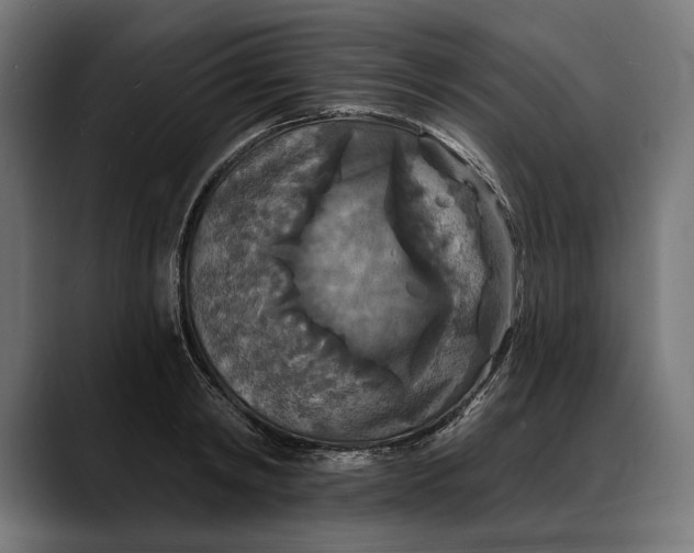 X0000088080798200705251407