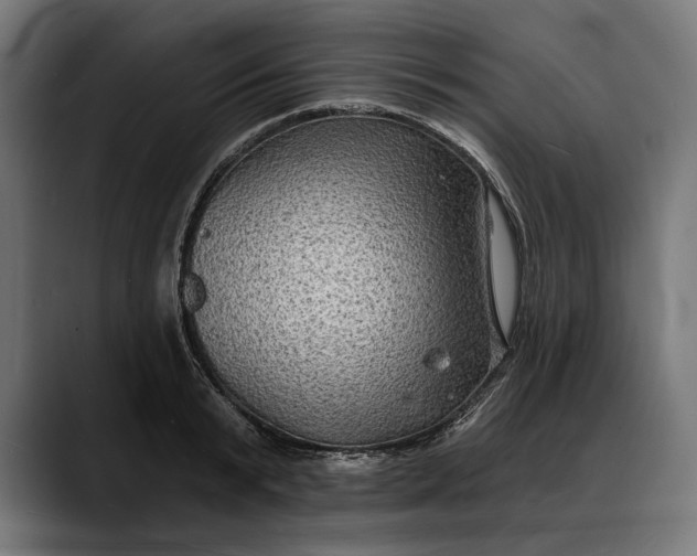 X0000088080799200705251407