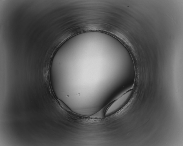 X0000088080801200705251407