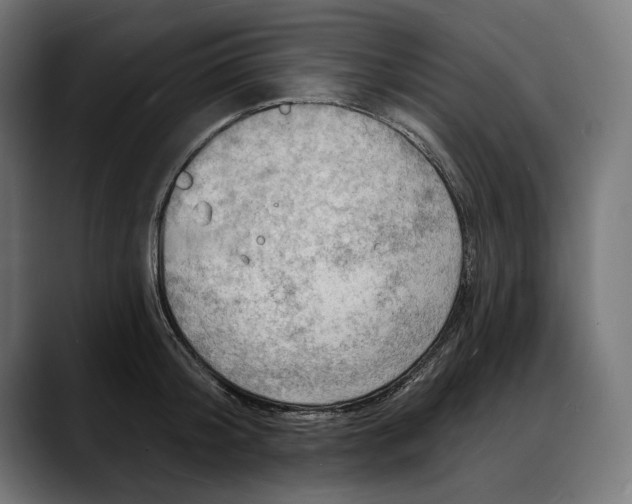 X0000088080804200705251407