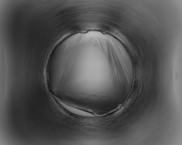 X0000088080806200705251407