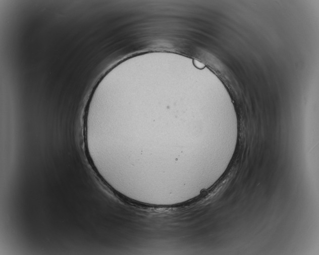 X0000088080808200705251407