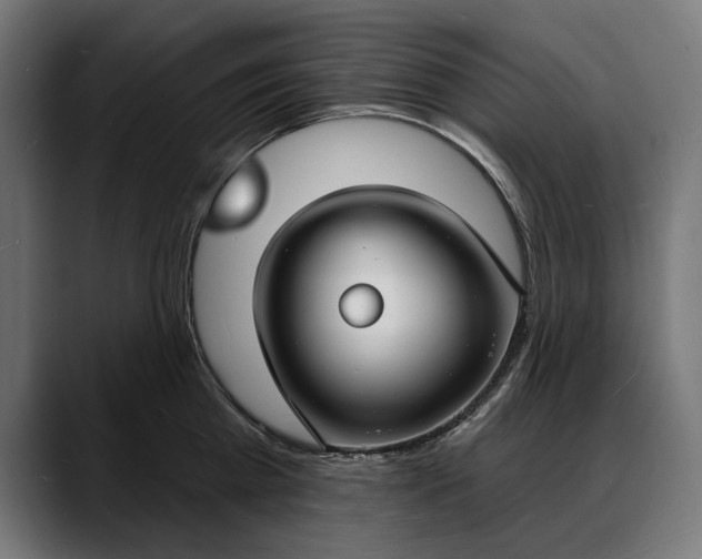 X0000088080809200705251407