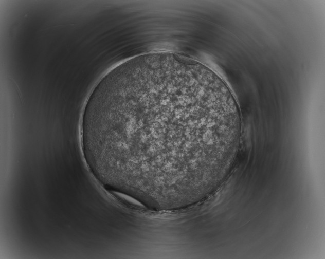 X0000088080811200705251407