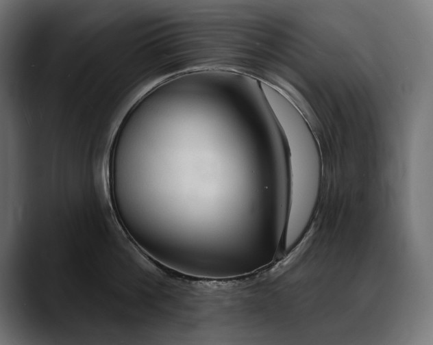 X0000088080812200705251407