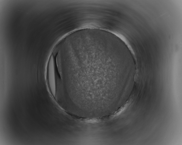 X0000088080815200705251407
