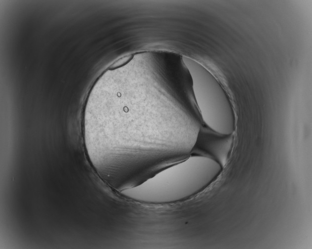 X0000088080816200705251407