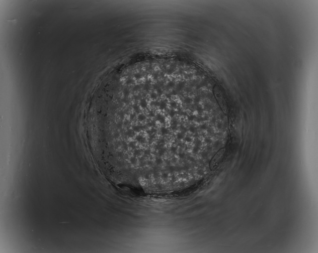 X0000088080817200705251406