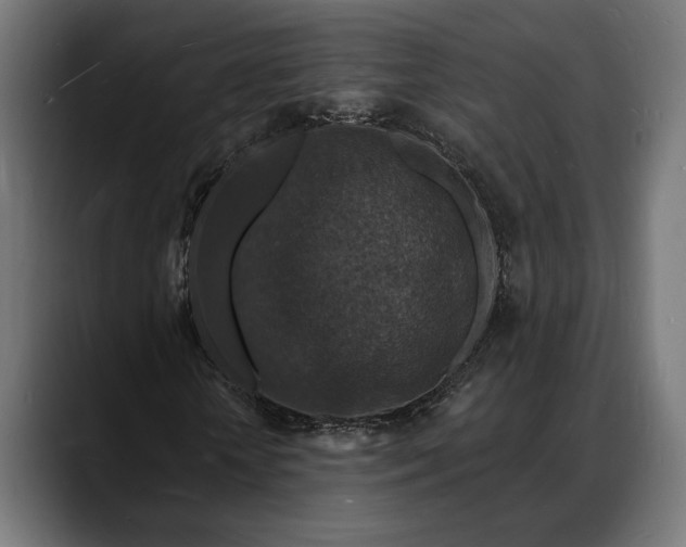 X0000088080818200705251406