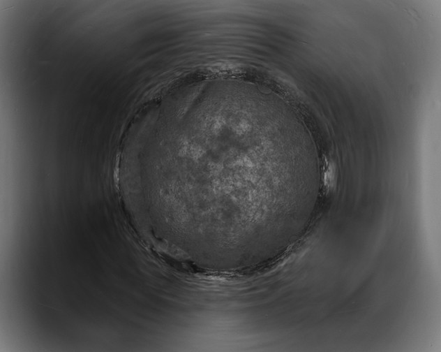 X0000088080819200705251406