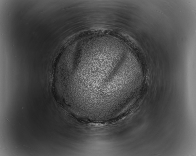 X0000088080821200705251406