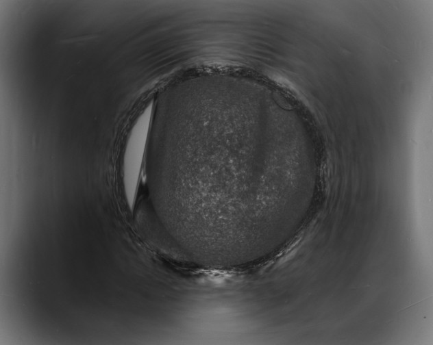 X0000088080822200705251406