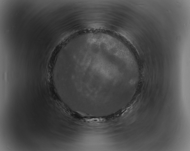 X0000088080823200705251406