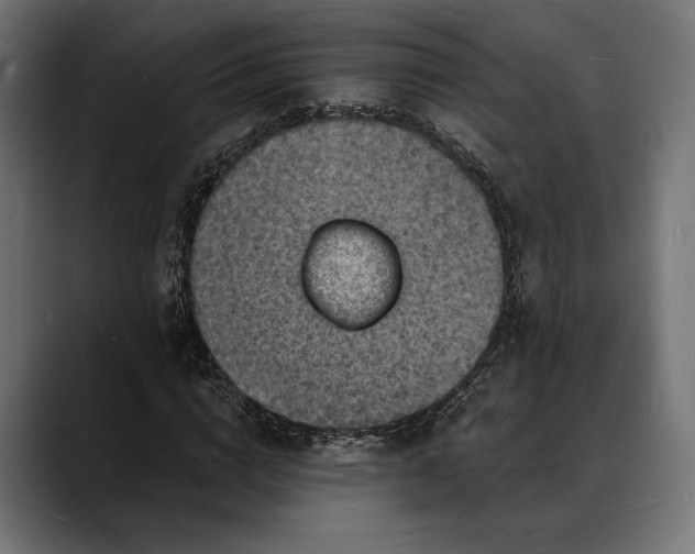 X0000088080824200705251406