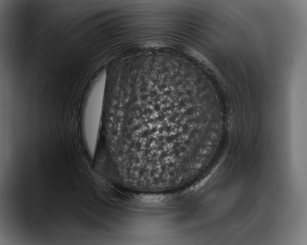 X0000088080825200705251406