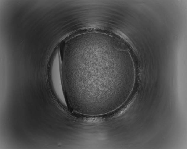 X0000088080826200705251406