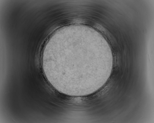 X0000088080828200705251406