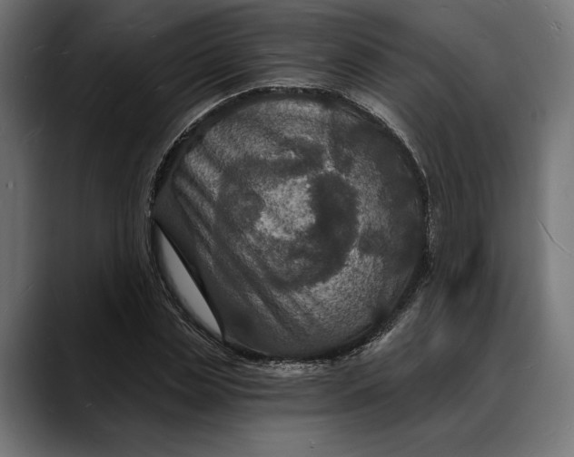 X0000088080829200705251406