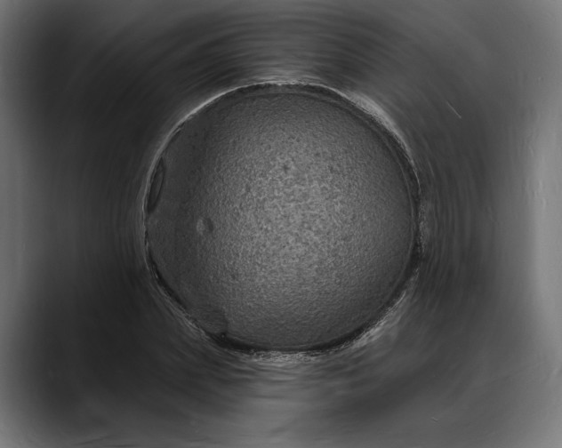 X0000088080831200705251406