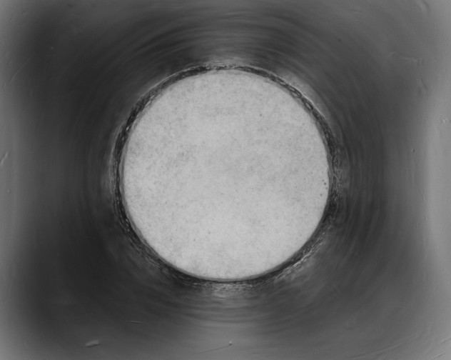 X0000088080832200705251406