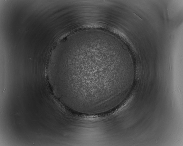 X0000088080833200705251406