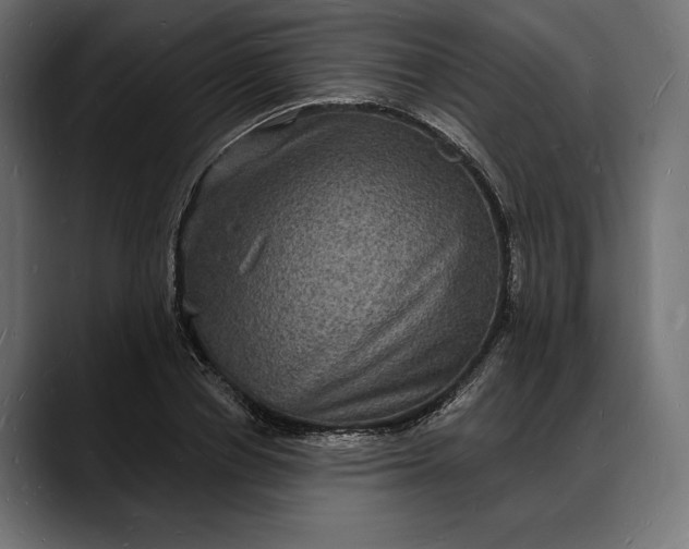 X0000088080834200705251406