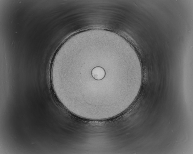 X0000088080836200705251406