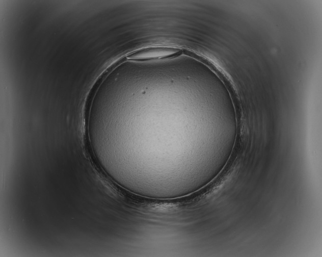 X0000088080837200705251407
