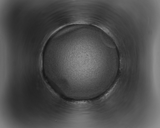X0000088080838200705251407