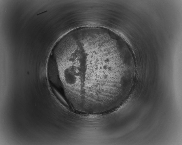 X0000088080839200705251407