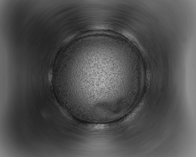 X0000088080841200705251407