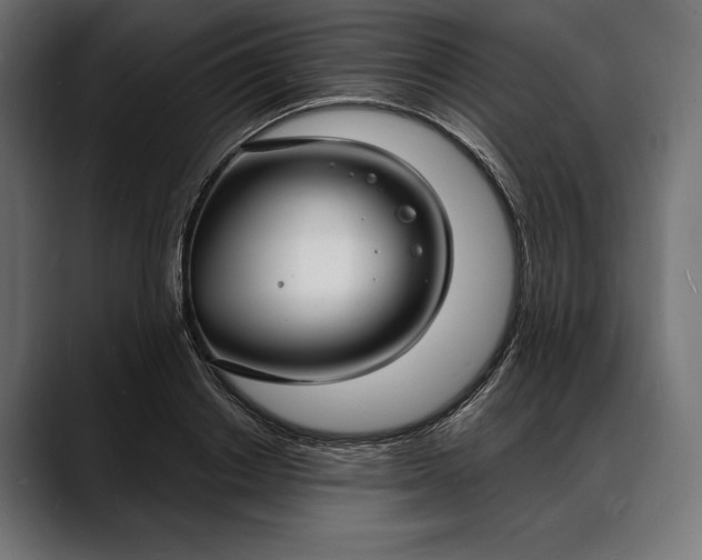 X0000088080842200705251407